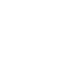 Cargo Insurance Icon
