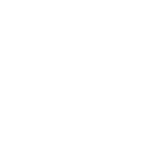 Combined Transit Liability Program Icon